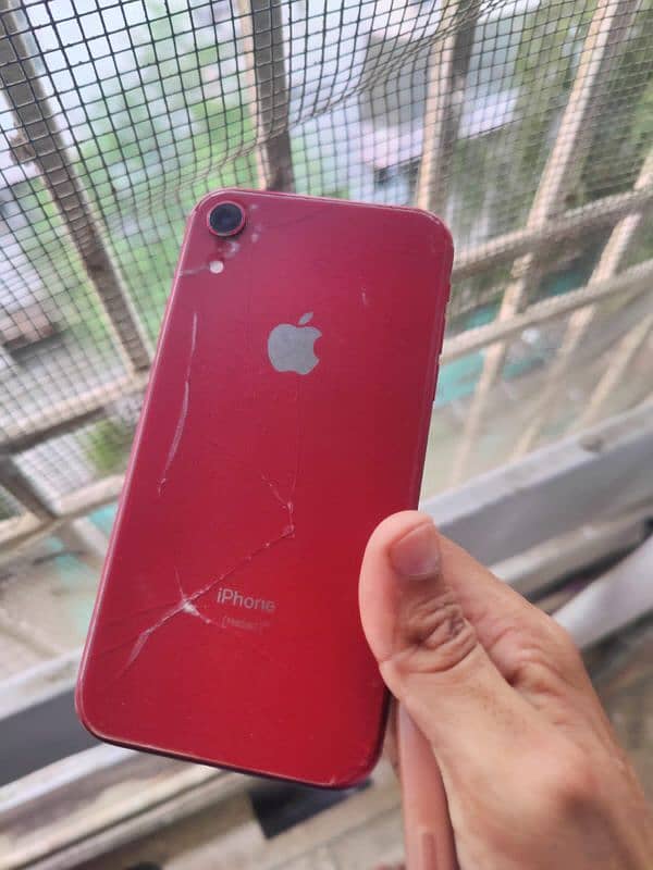 iPhone XR Approved 1