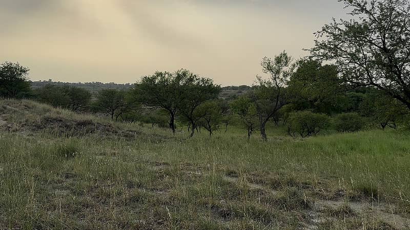 106 Kanal Land Chakwal Near Balkasar 6