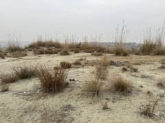 160 Land Chakwal Fish Pond Olive Land