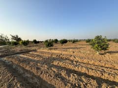 450 Kanal Land For Farm House Chakwal For Sale Punjab