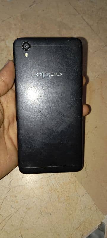 OppO 2/16 1