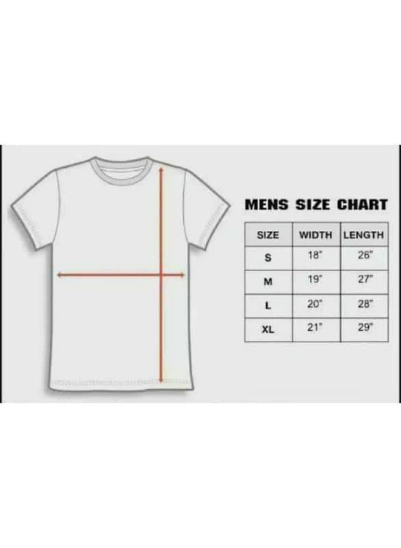 2 PCS Men's cotton blank t-shirt 1