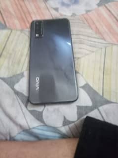 vivo