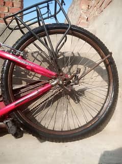 Badi cycle