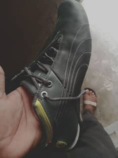 orignal puma shoes