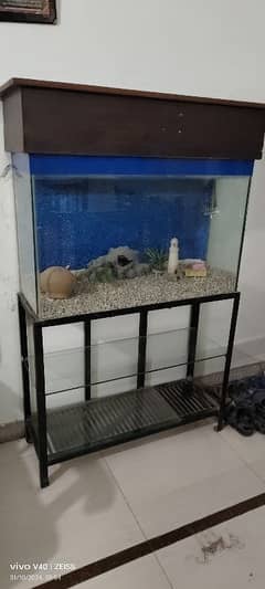 3 x 3 foot aquarium