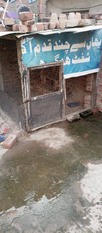 cage for sale 1