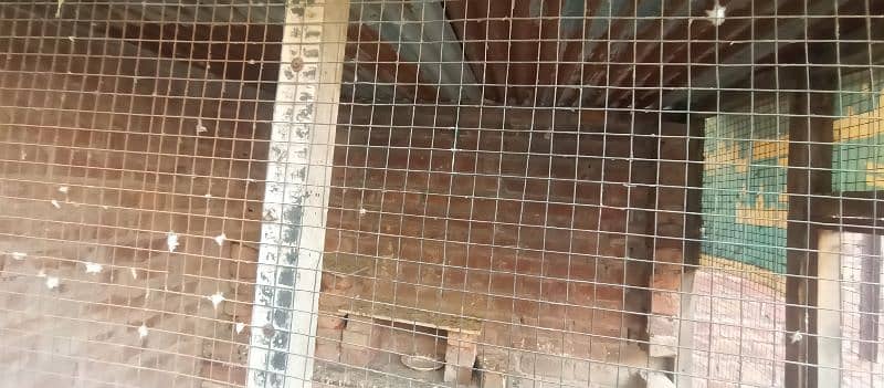 cage for sale 4