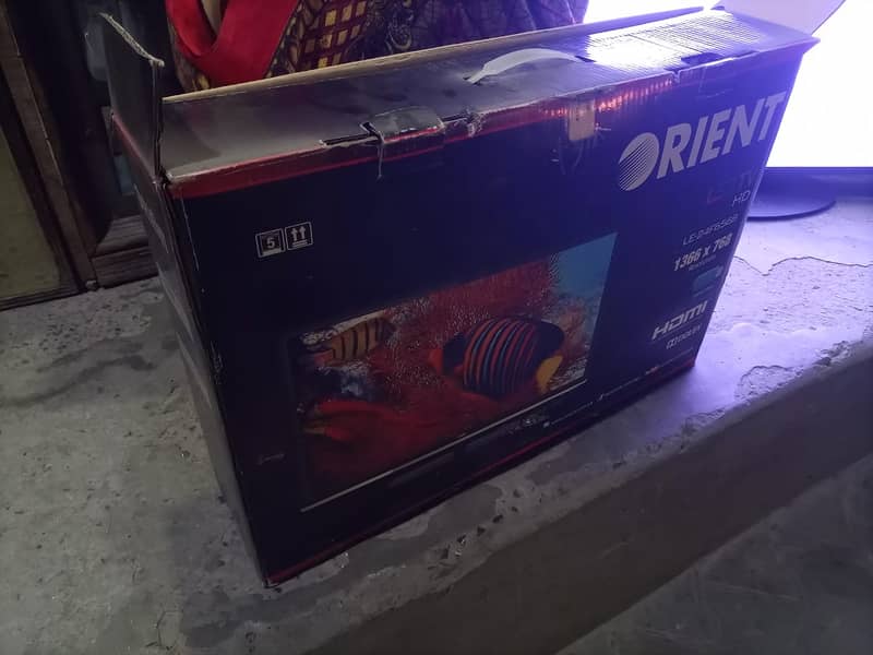 Orient 24" LED 1