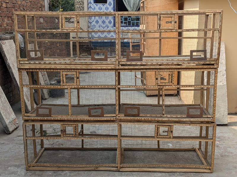 3 Hen Cages | Pinjra | for Animals 4