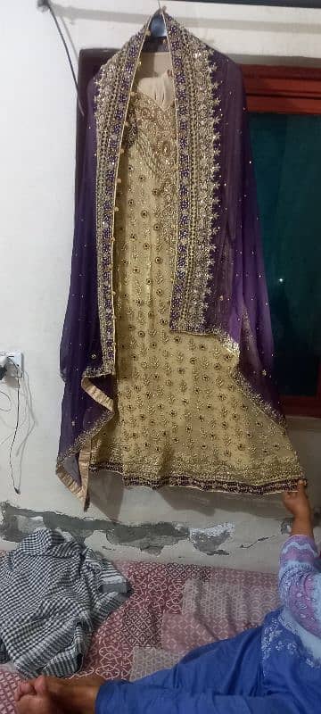 walima maxi 3