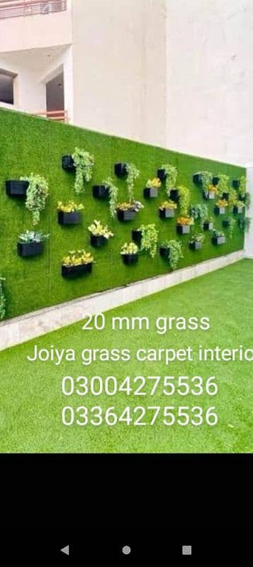 American Field Artificial Grass - Astro Turf Fake Grass - Wall outdoor 3