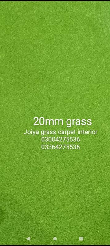 American Field Artificial Grass - Astro Turf Fake Grass - Wall outdoor 5