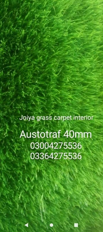 American Field Artificial Grass - Astro Turf Fake Grass - Wall outdoor 13