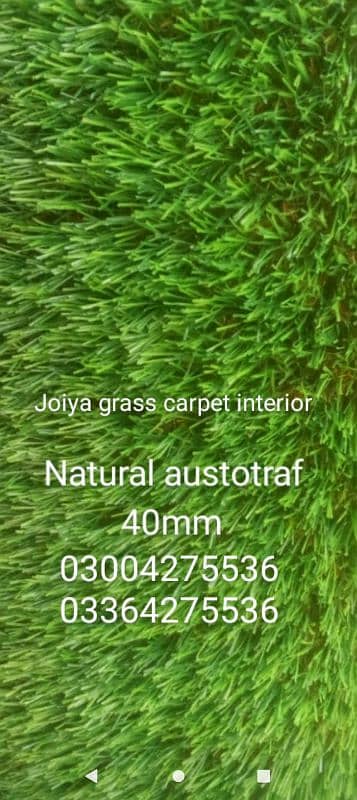 American Field Artificial Grass - Astro Turf Fake Grass - Wall outdoor 14