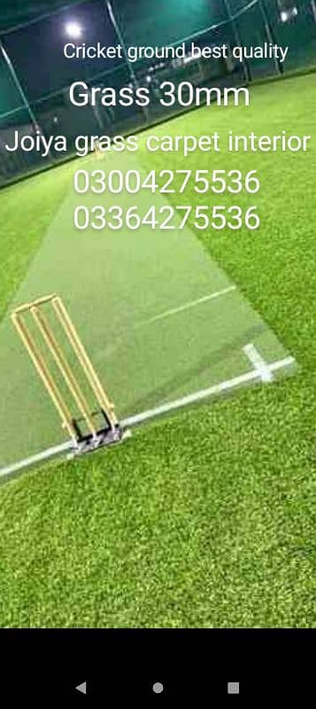 Artificial grass carpet Astro turf sports grass / wall grass/carpet 9