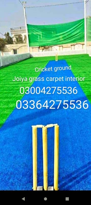 Artificial grass carpet Astro turf sports grass / wall grass/carpet 11