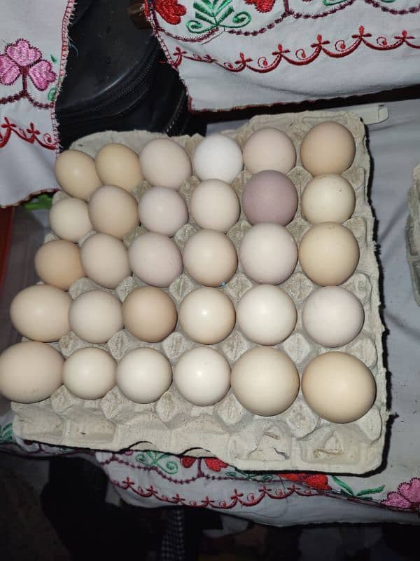 Desi eggs for sale 480 per derjan call and WhatsApp 03266098600 0