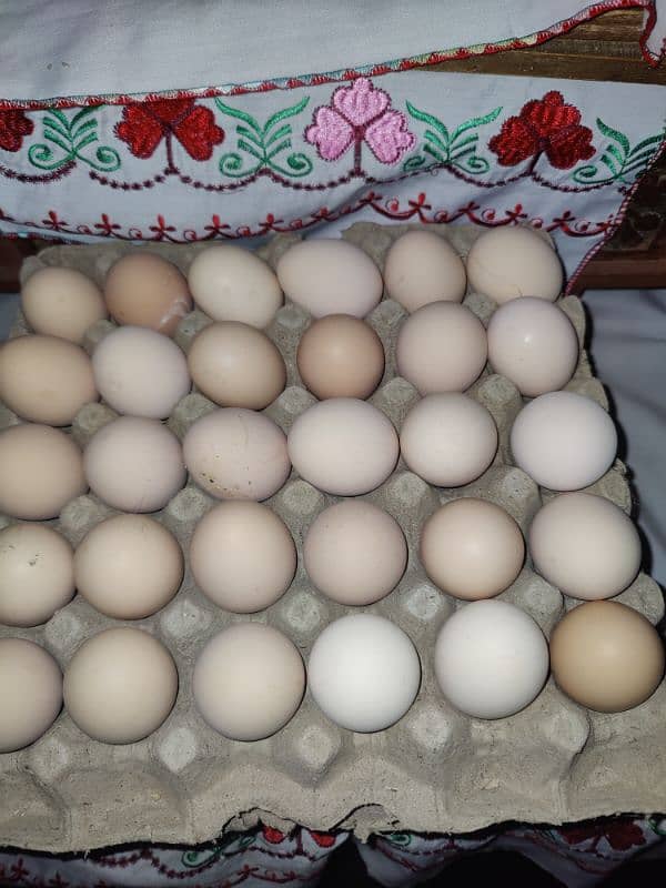 Desi eggs for sale 480 per derjan call and WhatsApp 03266098600 1