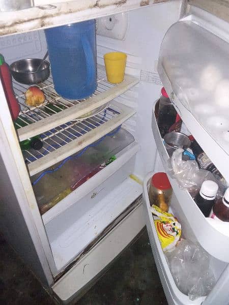 PEL Fridge for sale 3