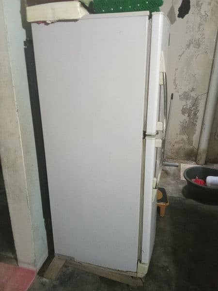 PEL Fridge for sale 4