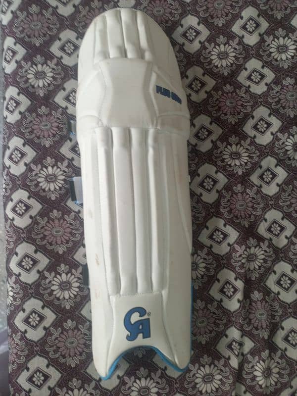 CA plus 8000 cricket pads 1