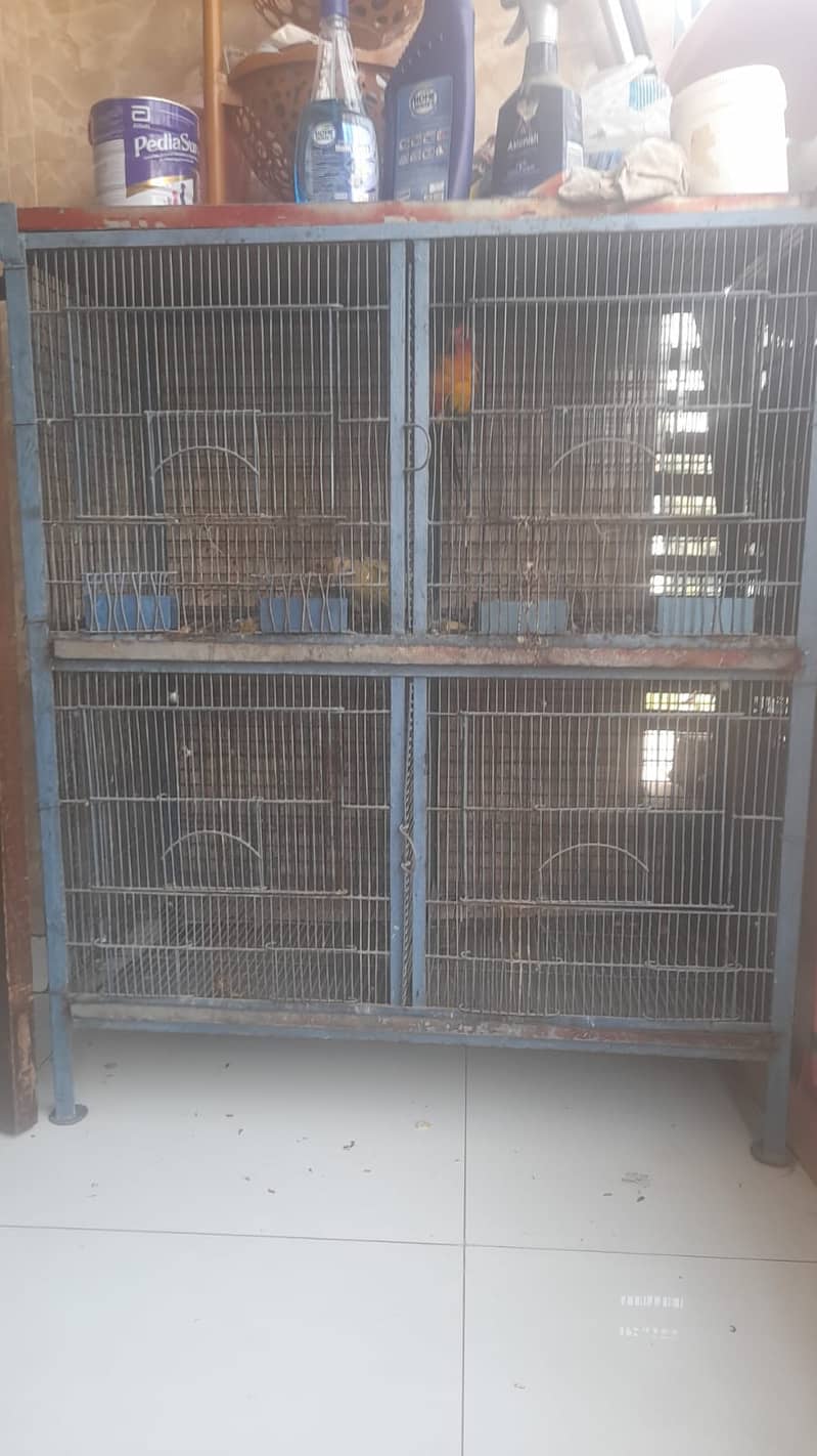 Bird Cage Good Condition 2