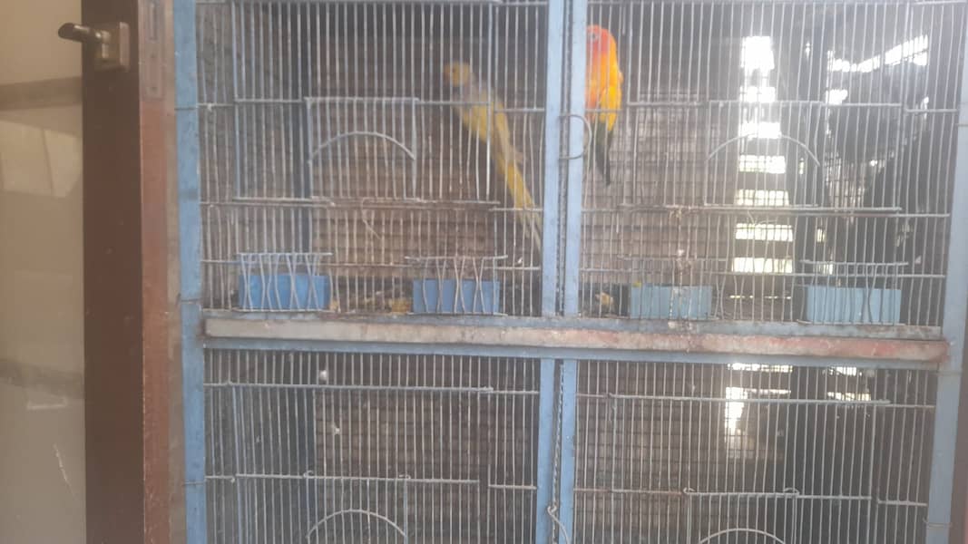 Bird Cage Good Condition 1