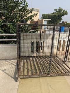 German Shepherd/ Rottweiler dog cage