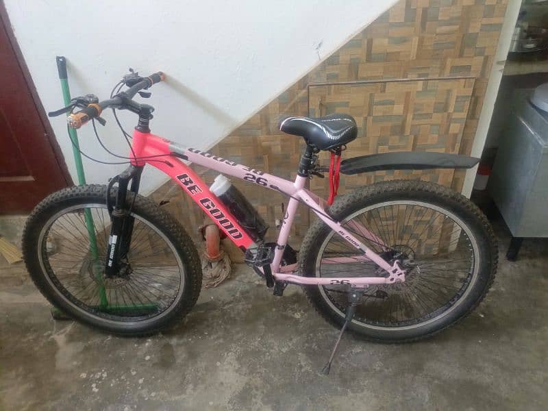 beautiful Bicycle Like New 1