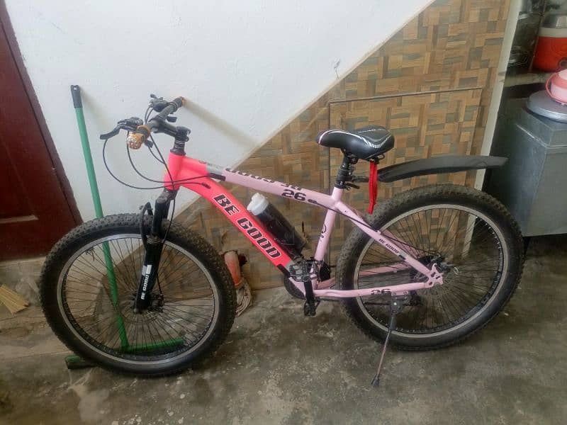 beautiful Bicycle Like New 3