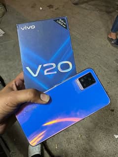 vivo