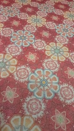 carpet 10/12condition 0