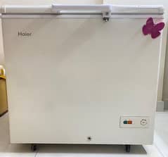 Haier D freezer brand new 10/10 condition