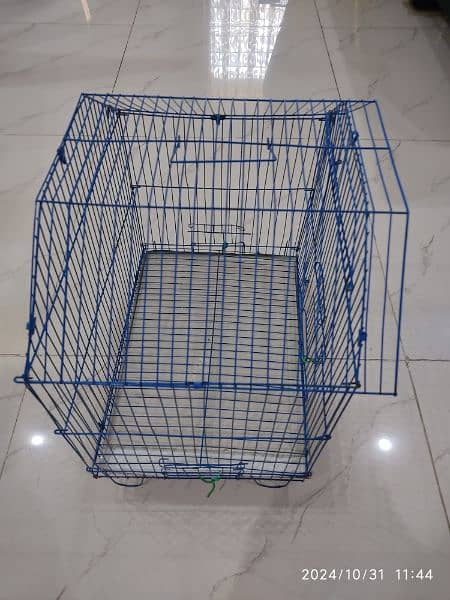 Bird Cage 1