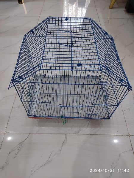 Bird Cage 4