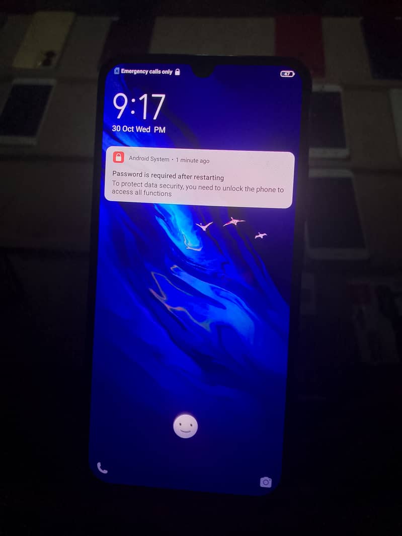 vivo S1 5