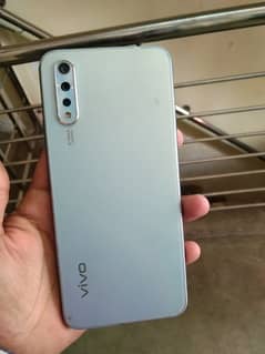 vivo