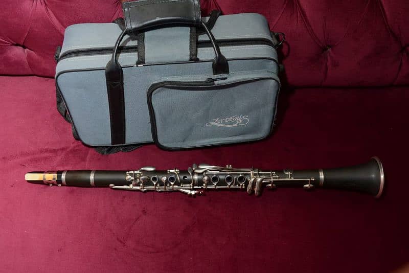 clarinet professional 0