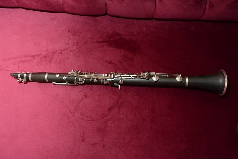 clarinet professional 1