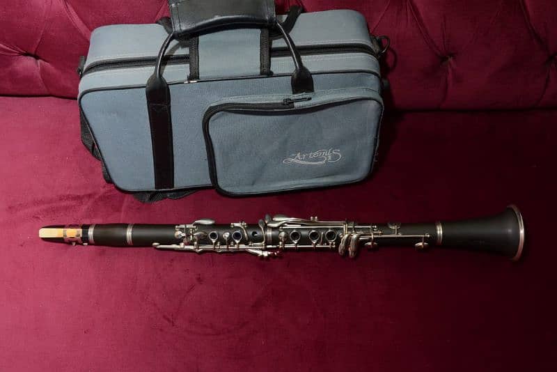 clarinet professional 2