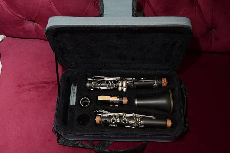 clarinet professional 3