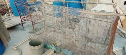 12 cage pinjra for sale