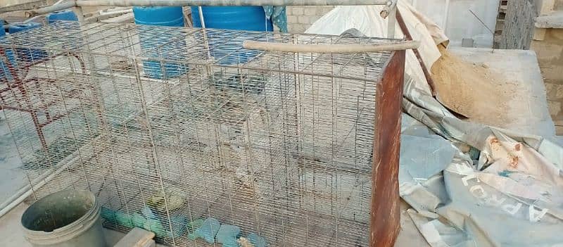 12 cage pinjra for sale 1