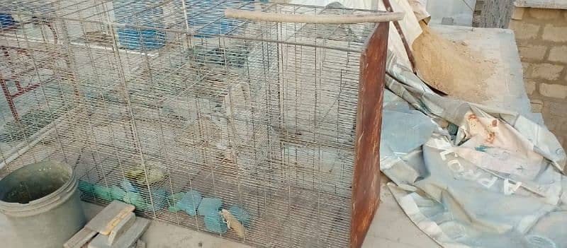 12 cage pinjra for sale 2