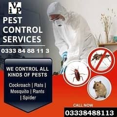 Bed Bugs | Termite | Cockroach | Pest Control | Fumigation /Service