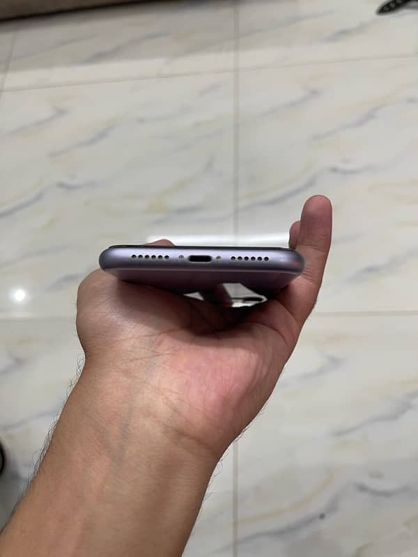 Iphone 11 (Pta Approved) 3