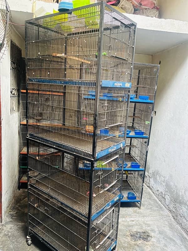 One Season Used Lovebirds Cages 1