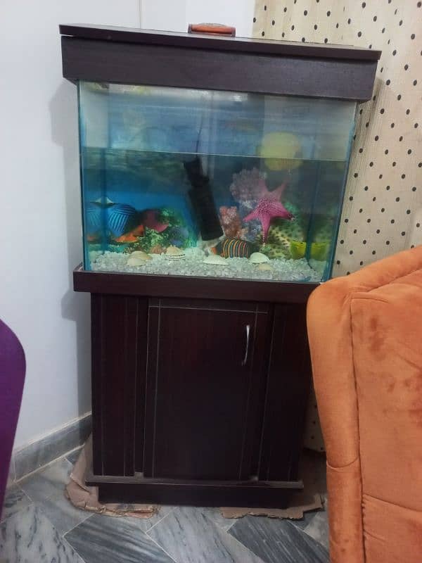 aquarium for sale 0