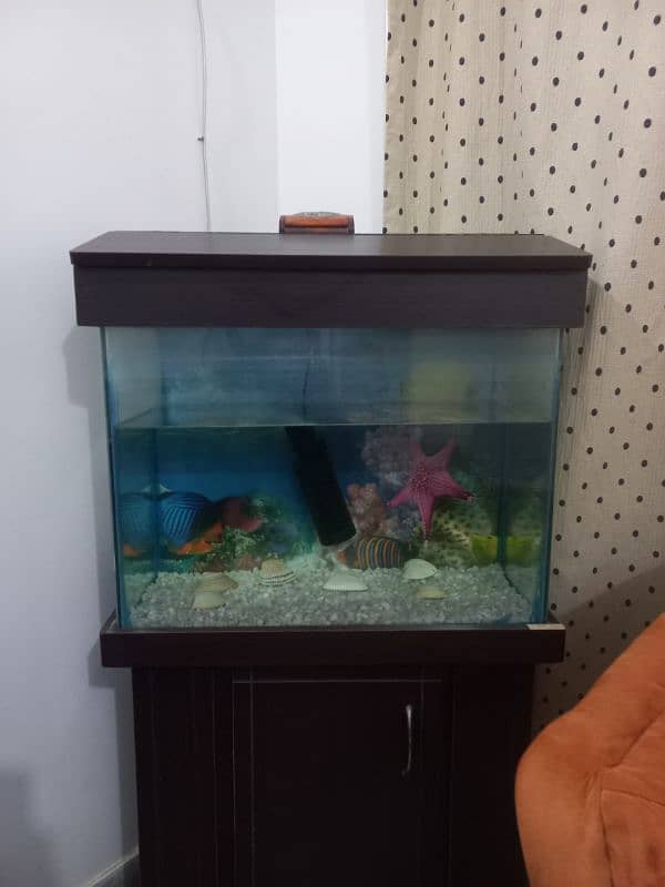 aquarium for sale 1